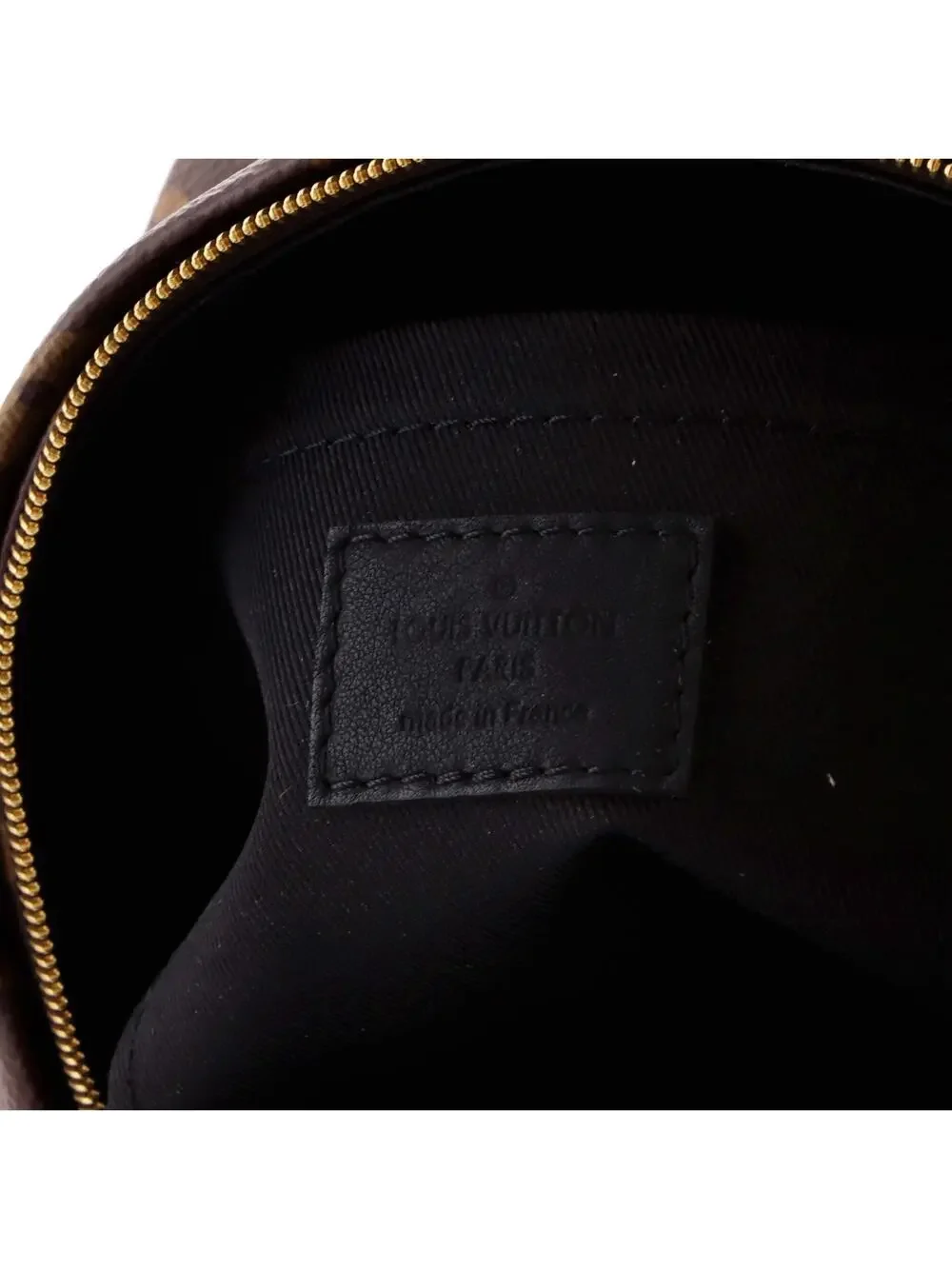 Louis Vuitton Palm Springs Backpack #244367L22B